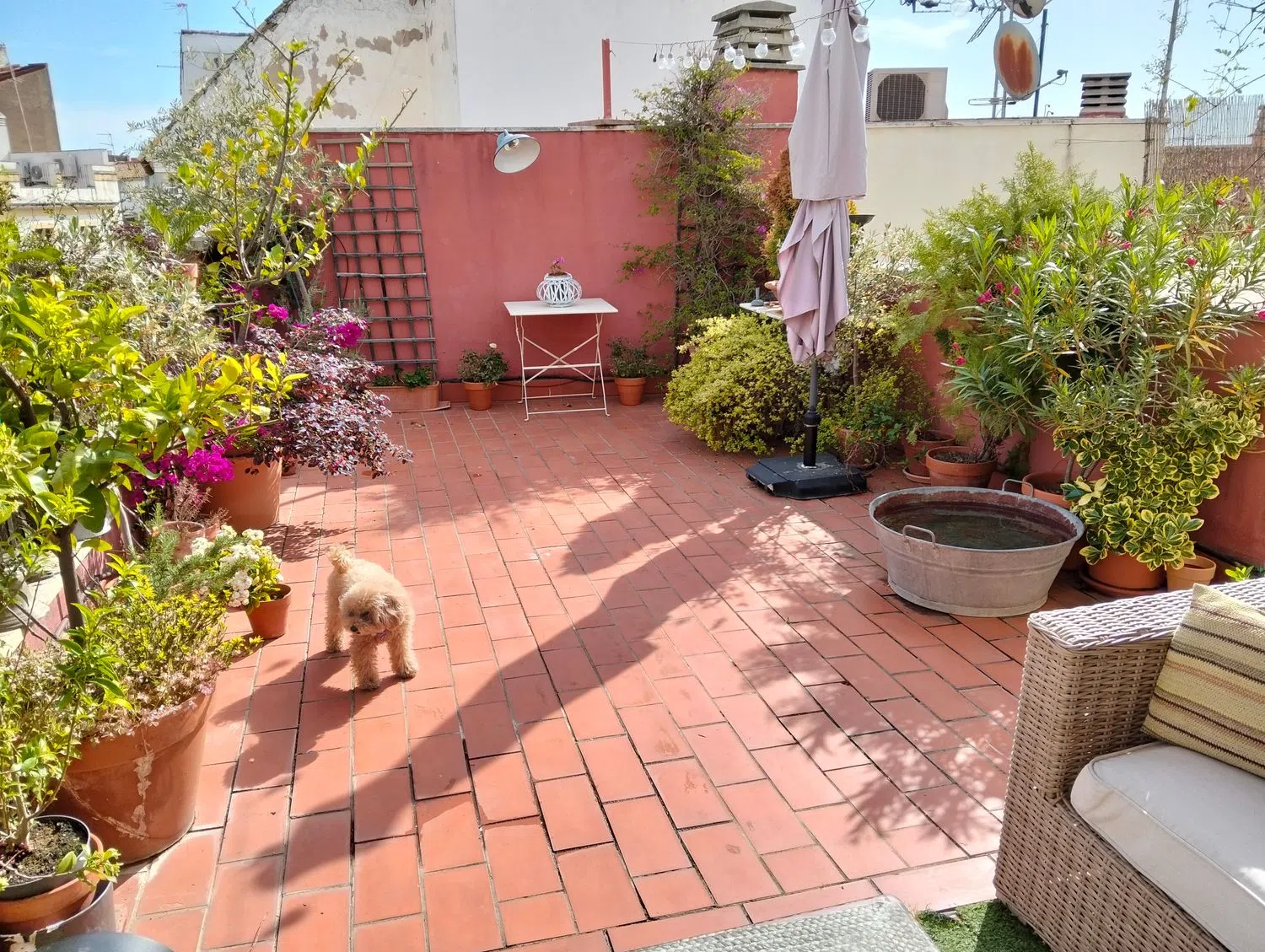 Ático en calle Conde de Cárdenas, 11 - Foto 5