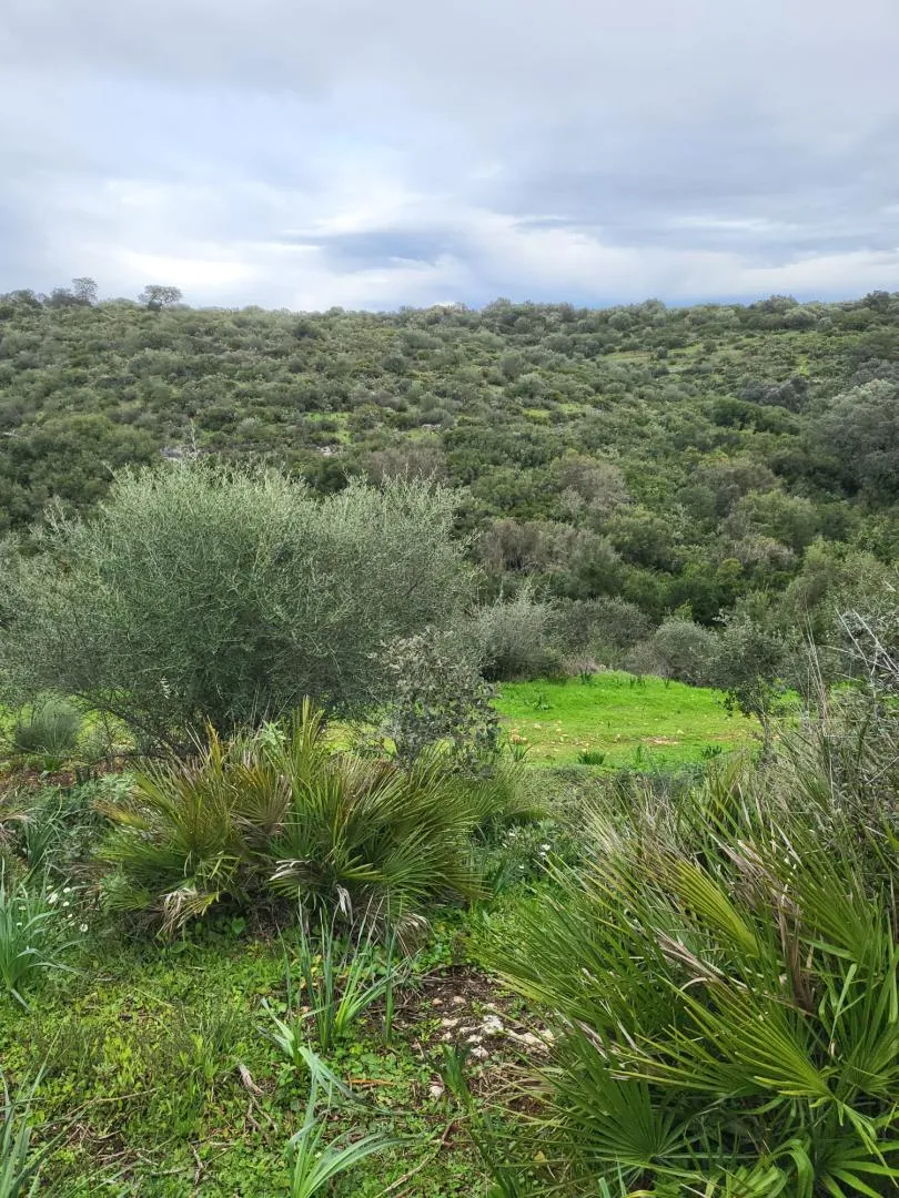 Finca rústica en  Calle Héctor Villa-Lobos 5 - Foto 8