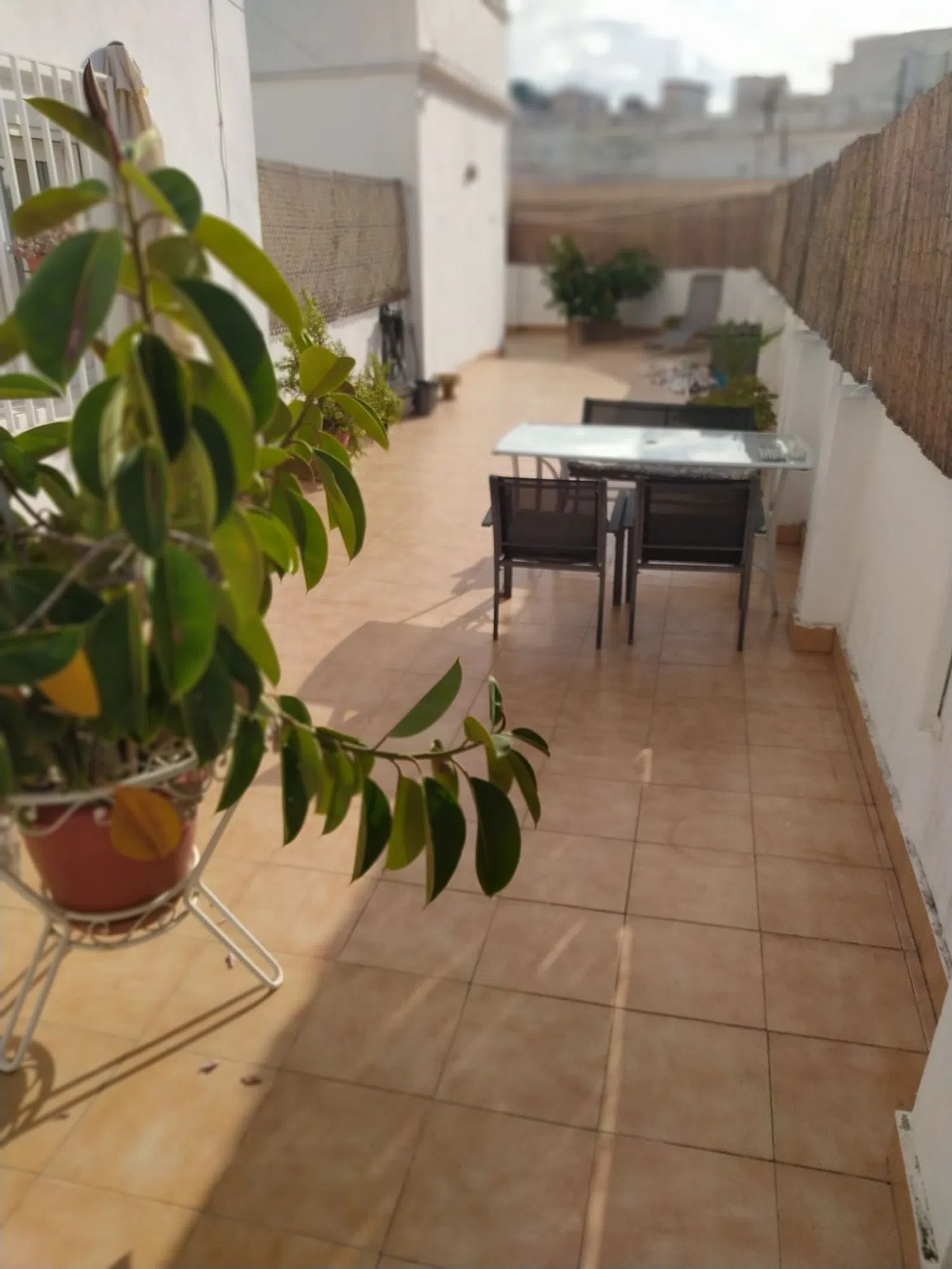 Ático en Urb. monteolivete Barrio Mont-Olivet - Foto 13