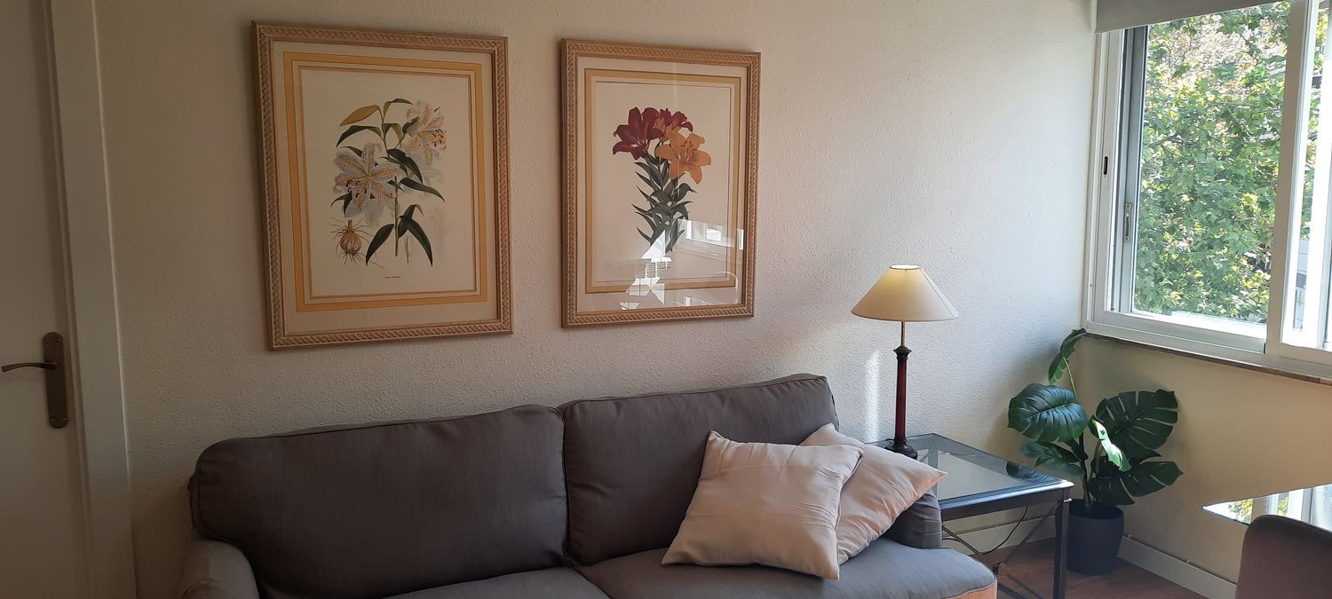 Piso en calle de la Infanta Mercedes, 62 - Foto 3