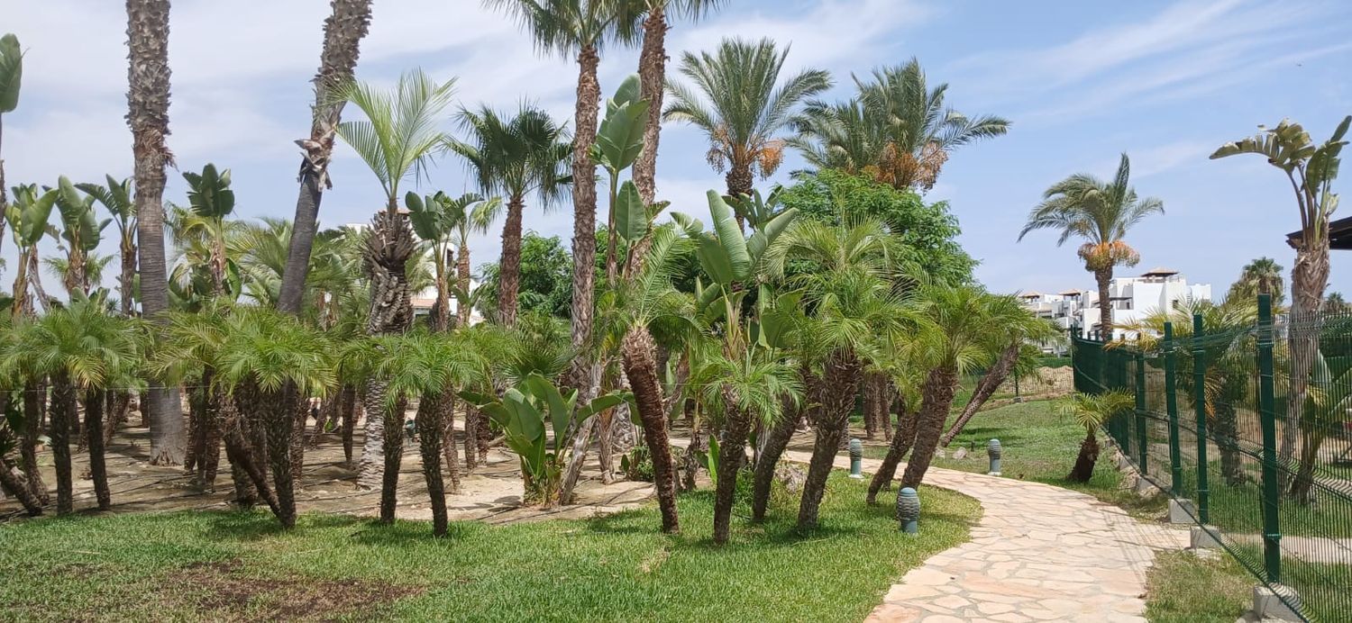 Ático en Avenida Alcazaba, 115, Las Salinas, Las Salinas - Foto 30