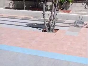 Planta baja en  Carrer el Morret de Cabot 7 - Foto 17