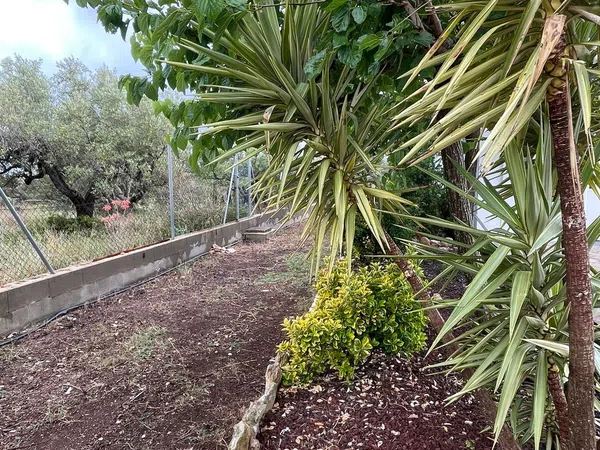 Casa rural en Via Polígono 73 parcela, 36, L'Ametlla de Mar, L'Ametlla de Mar - Foto 37