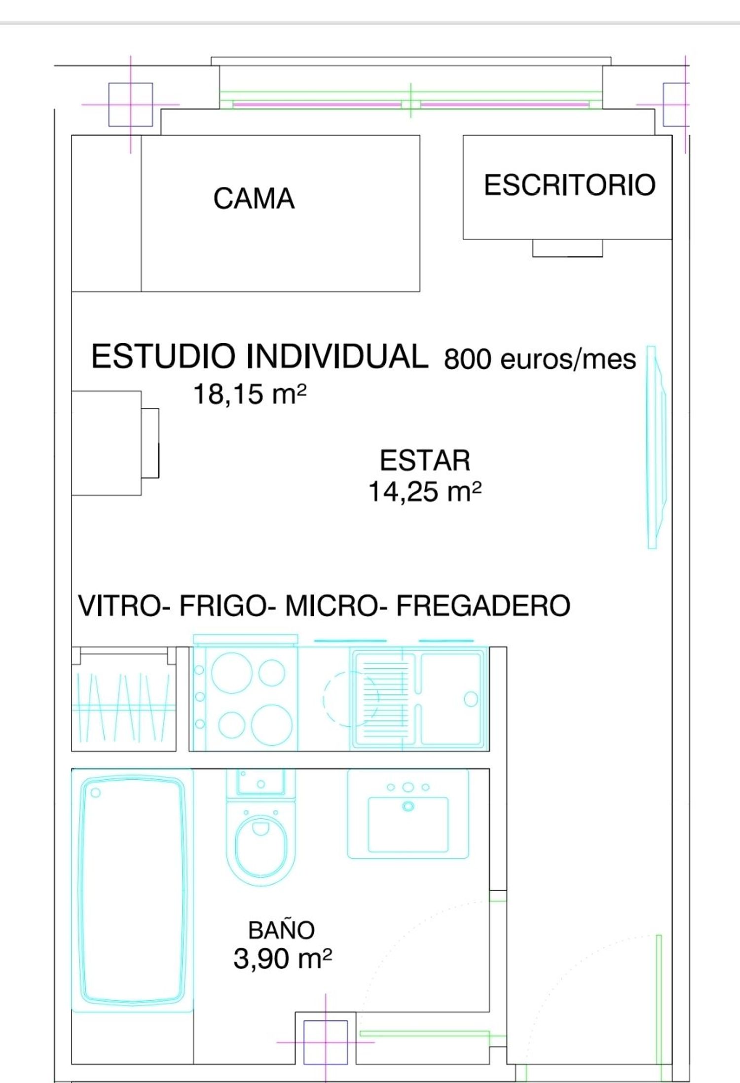 Estudio en abetos, 34 - Foto 2