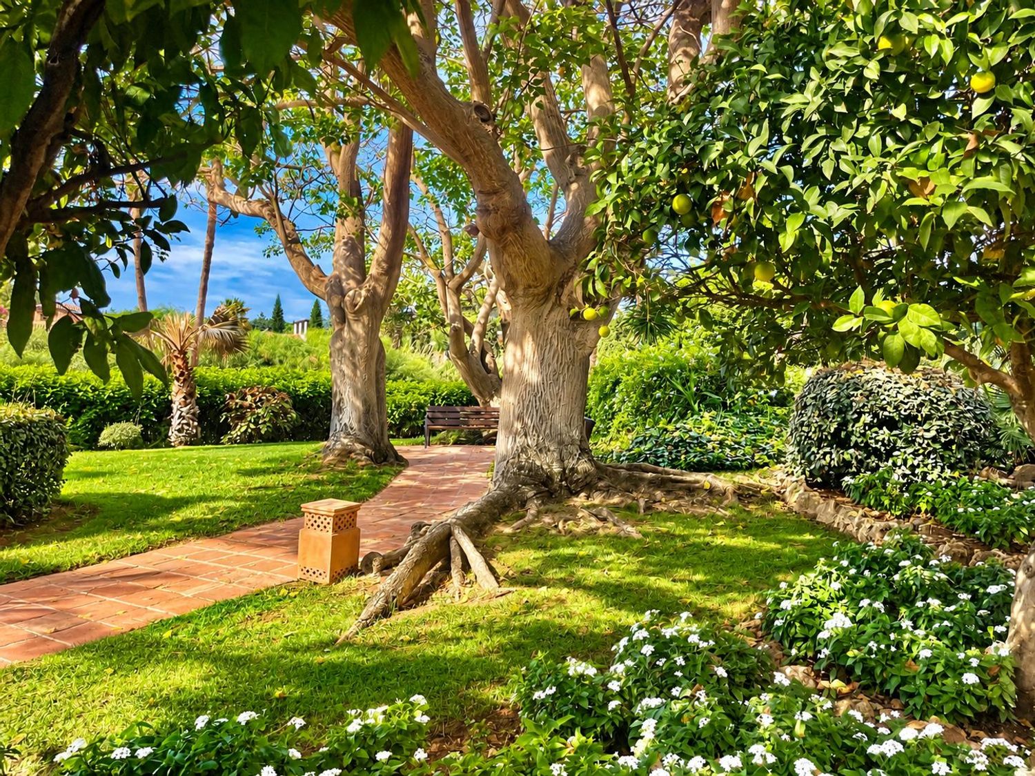 Piso en Alameda de las Brisas, 1, Bahía de Marbella - Foto 32