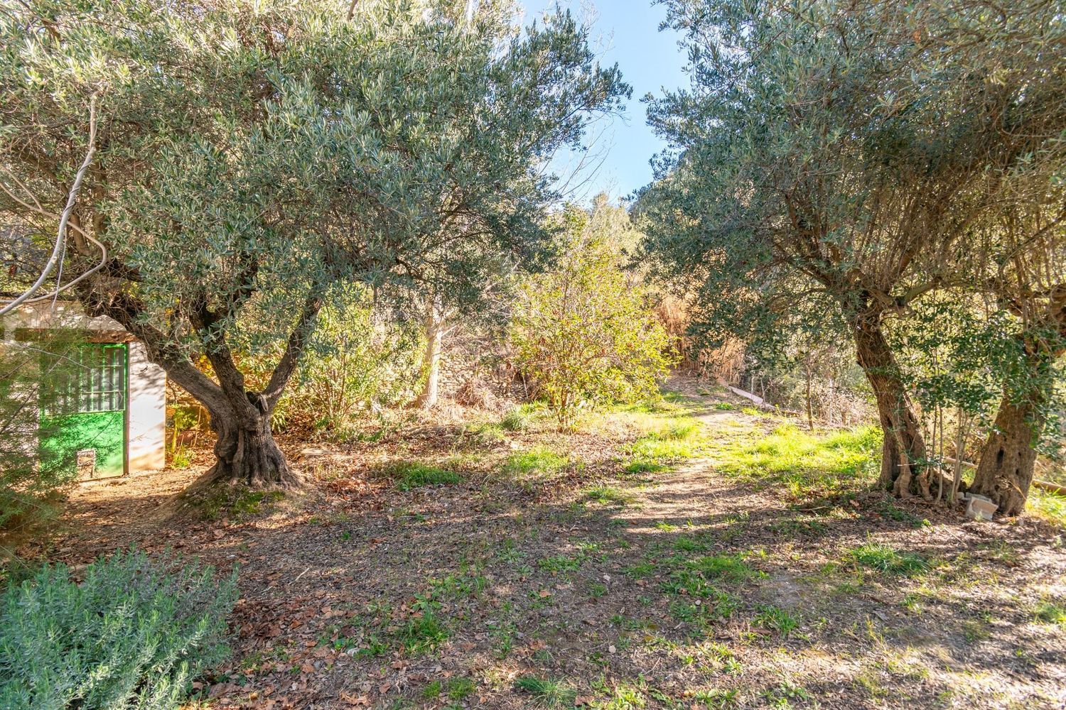 Cortijo en Solana s/n - Foto 4