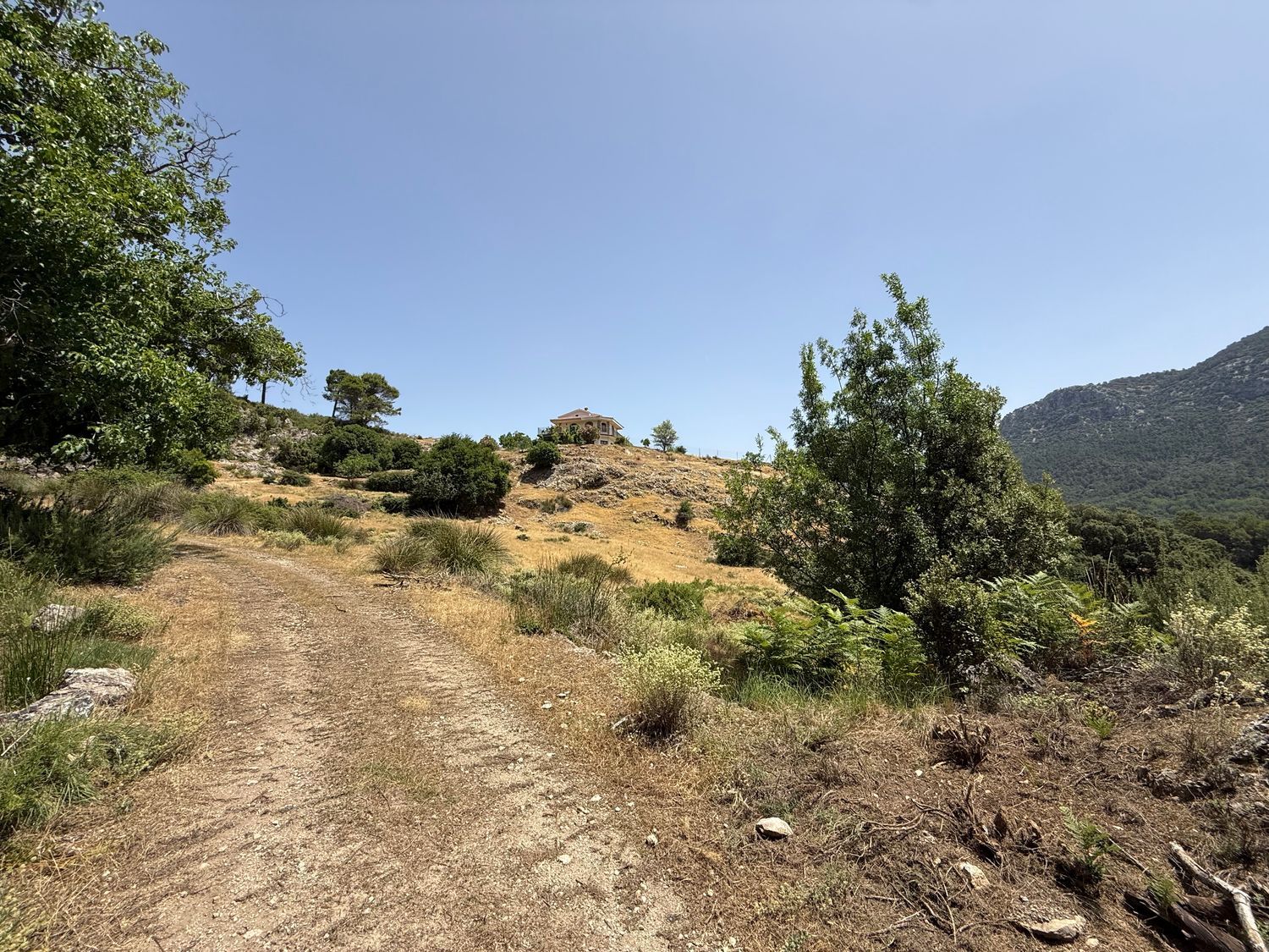 Finca rústica en Avenida del Guadalquivir, 28 - Foto 22