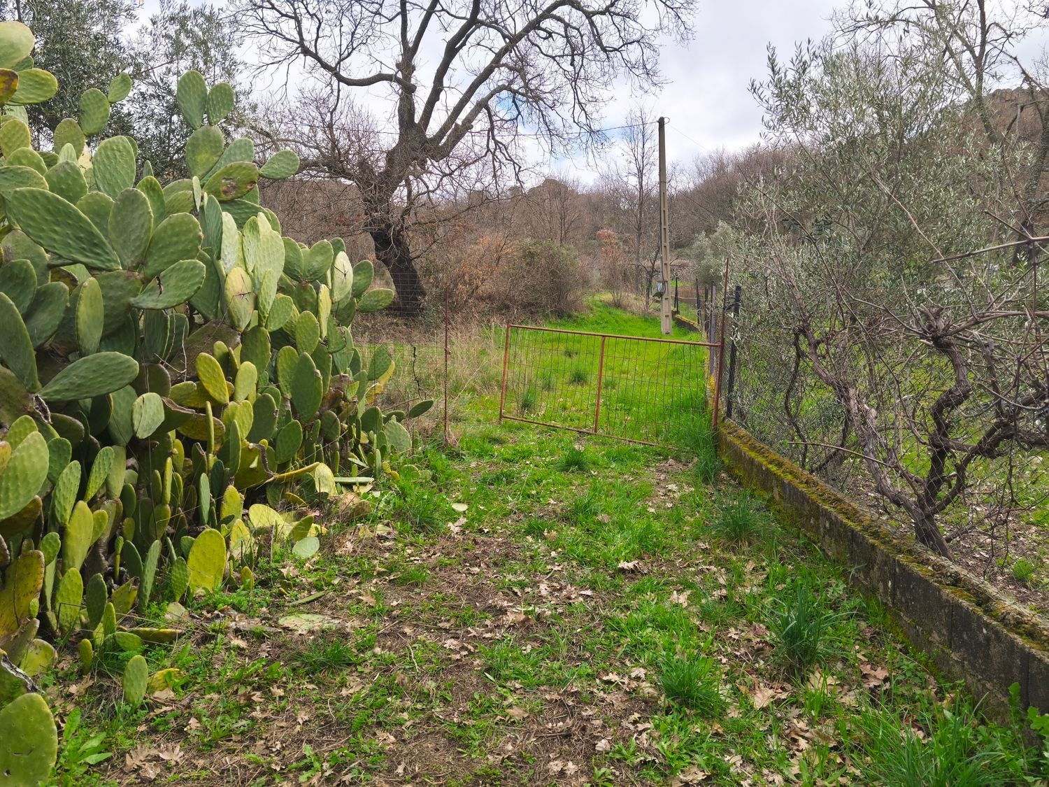 Finca rústica en Poblado los Arroyos de Abajo, 39 poligonoparcela - Foto 38