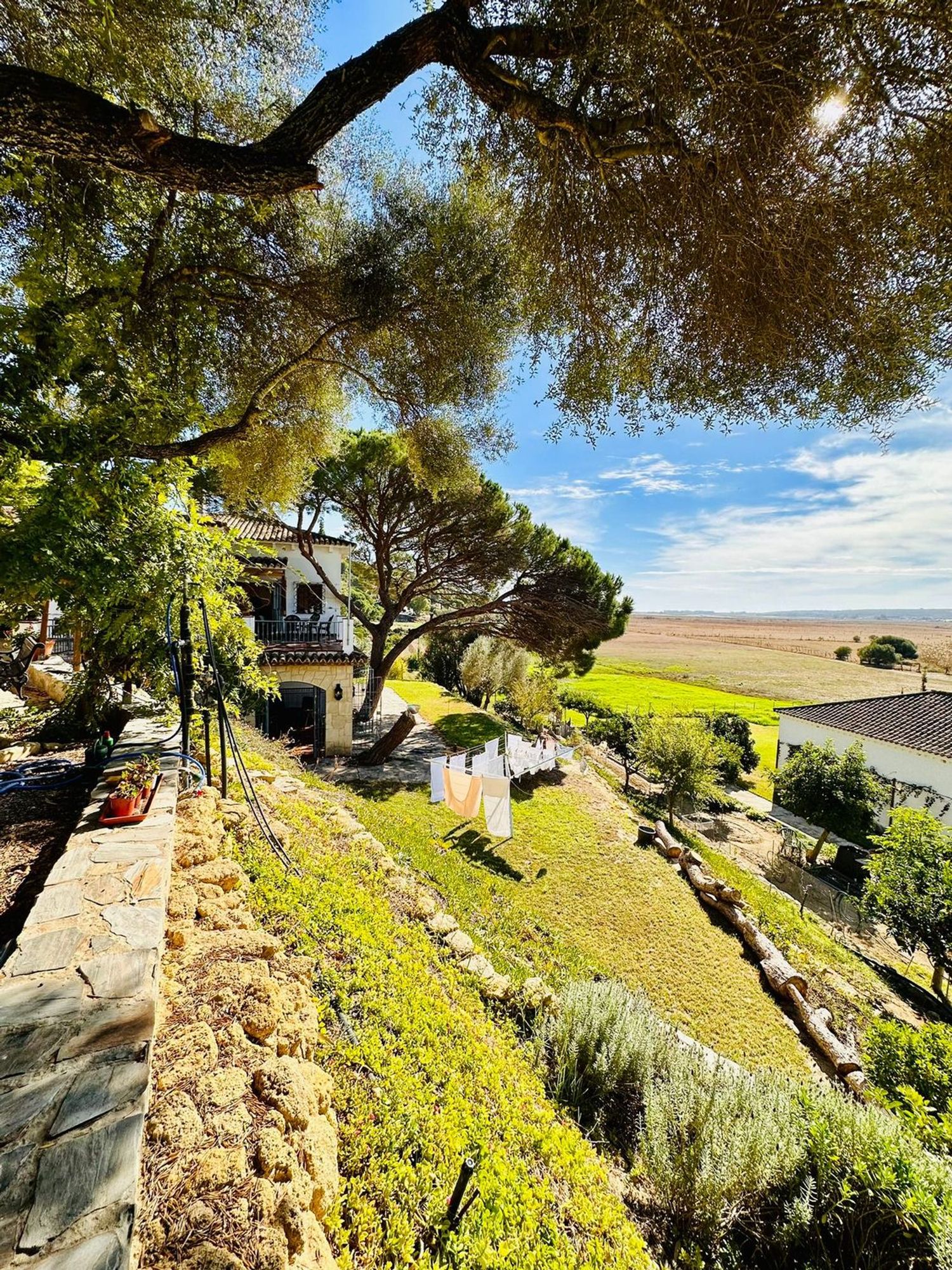 Casa o chalet independiente en Camino de la Angostura s/n - Foto 3