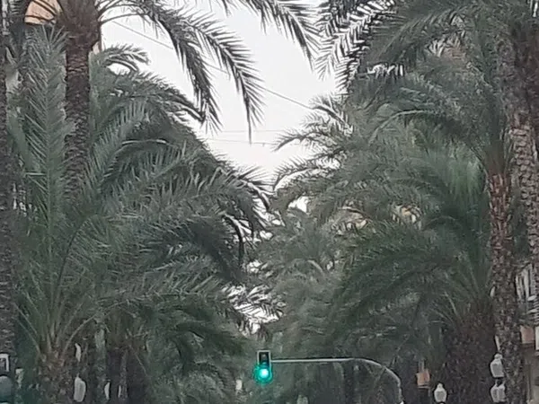 Piso en avenida Alcoi, 16 - Foto 33