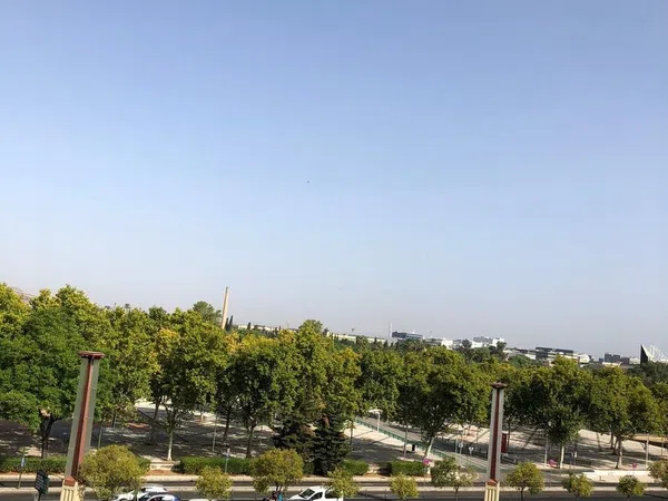 Piso en avenida Torneo, 73 - Foto 5