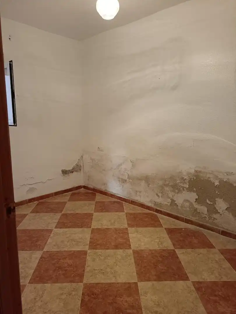 Planta baja en  Calle Navegante Alonso Sanchez 19 - Foto 8