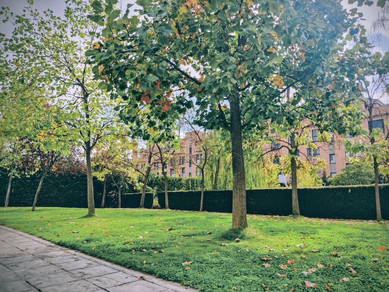 Piso en calle de la Estación de Atocha, 1 - Foto 7