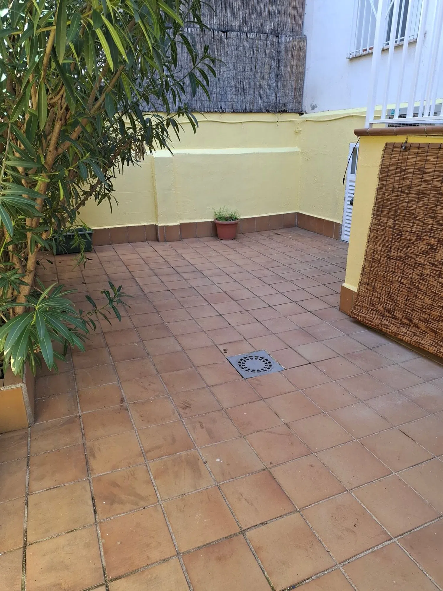 Chalet pareado en Barrio Ciudad Jardín - Foto 5