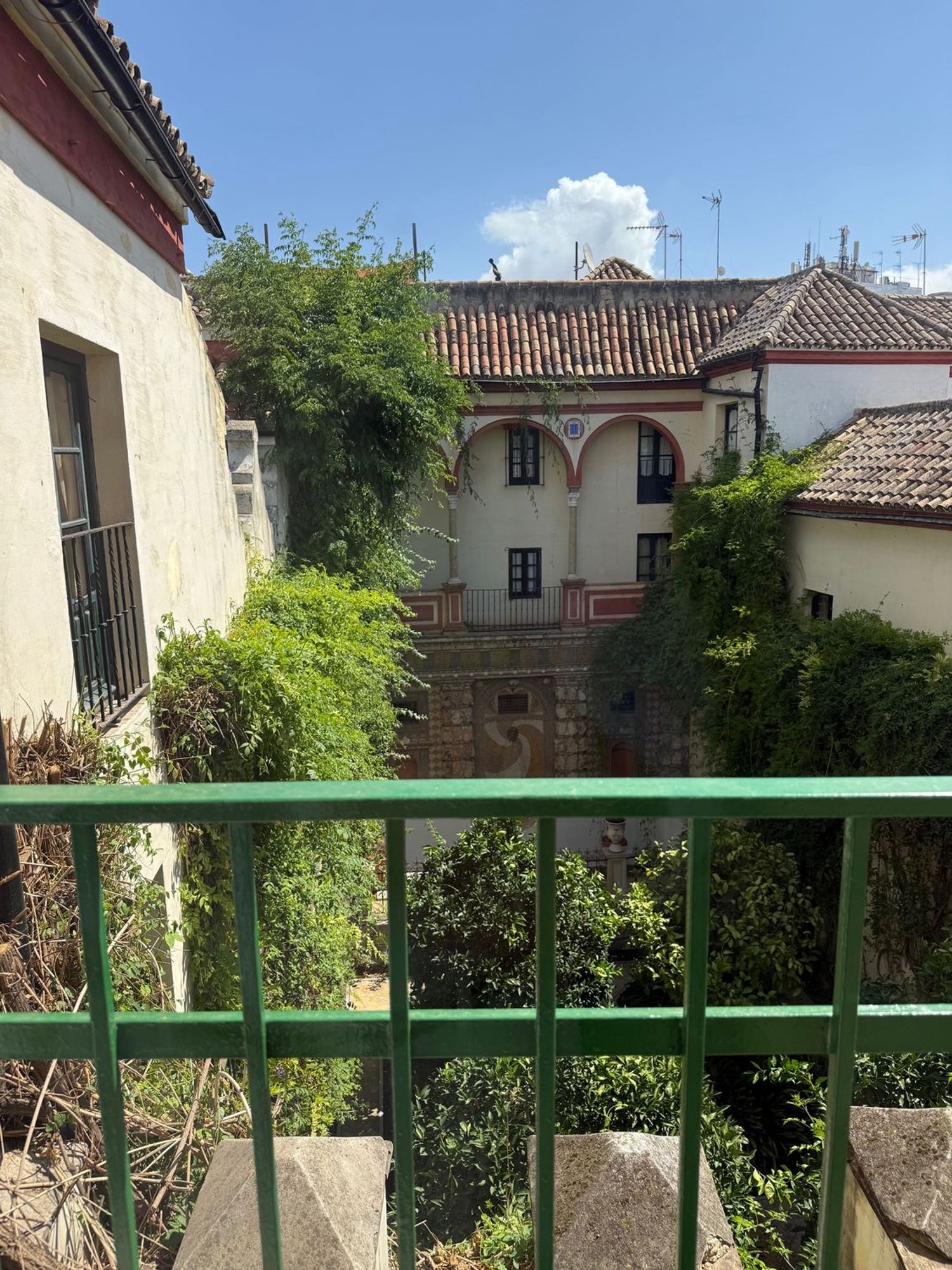Piso en Calle Verde, 8, Puerta de la Carne - Judería - Foto 12