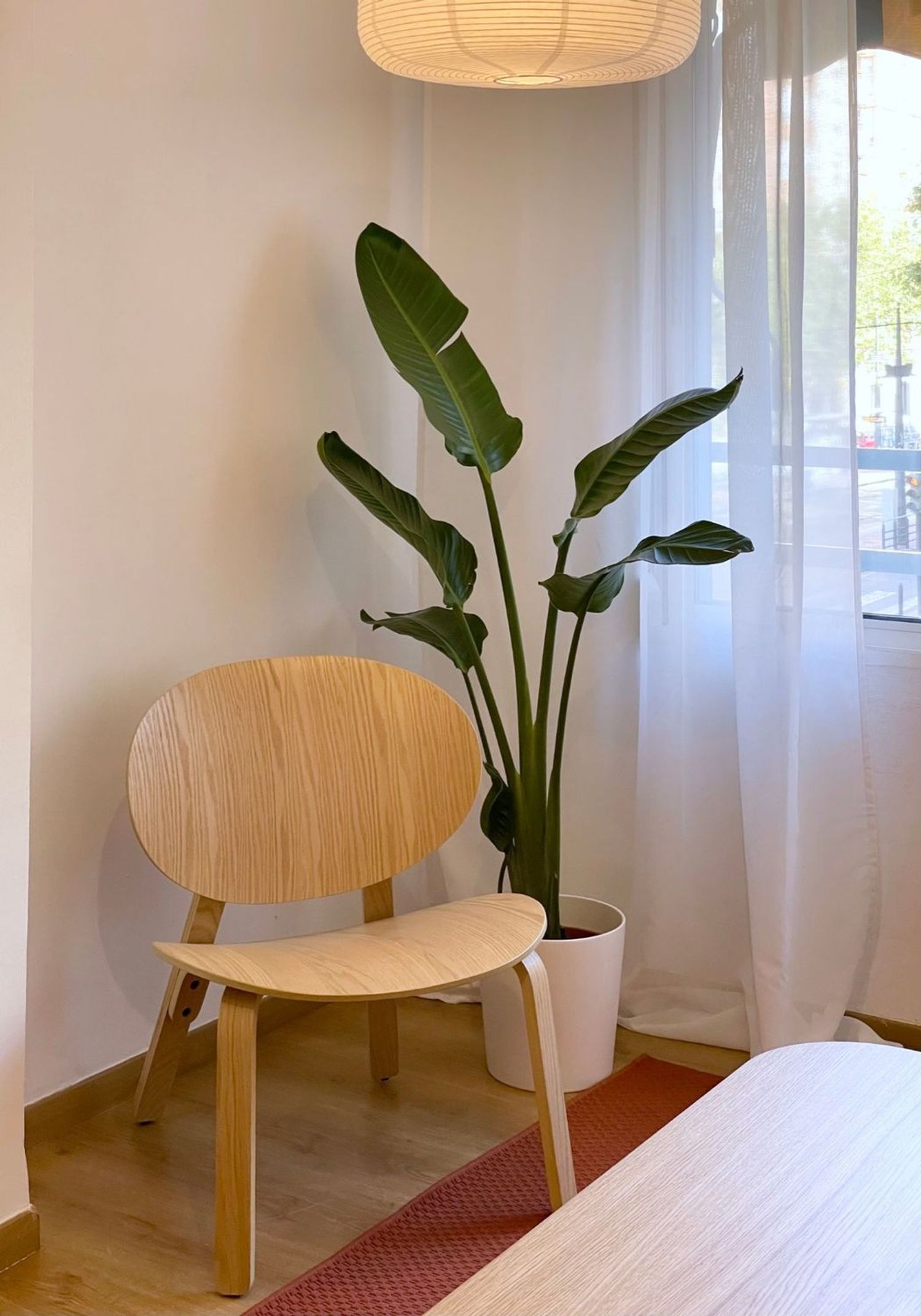 Piso en Calle d'Alboraia, 65, Trinitat - Foto 27