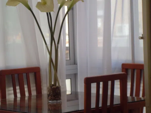 Piso en calle Gallito, 1 - Foto 1