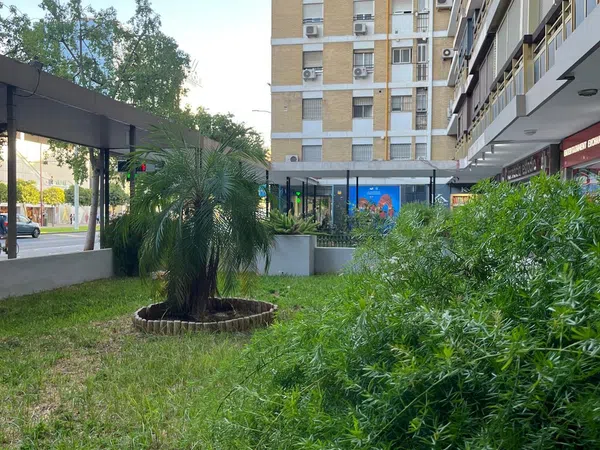 Piso en Calle Luis Montoto, 24, Luis Montoto - Santa Justa - Foto 5