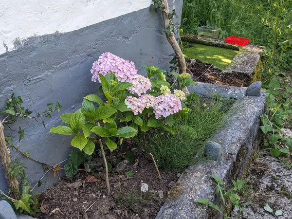 Casa rural en Lugar Ovin, 54 - Foto 7