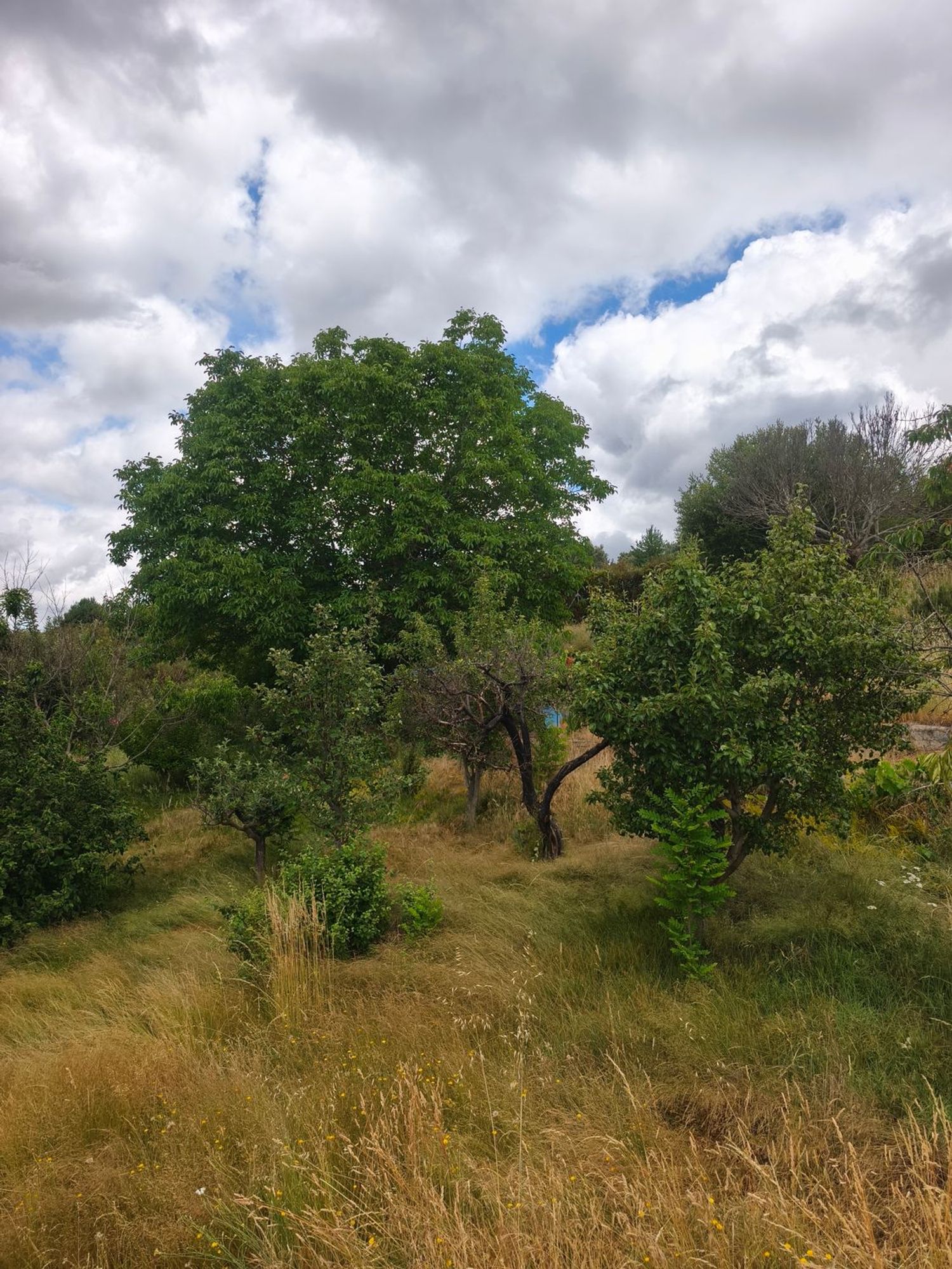 Casa de pueblo en Lugar Santibañez, 1029 - Foto 17