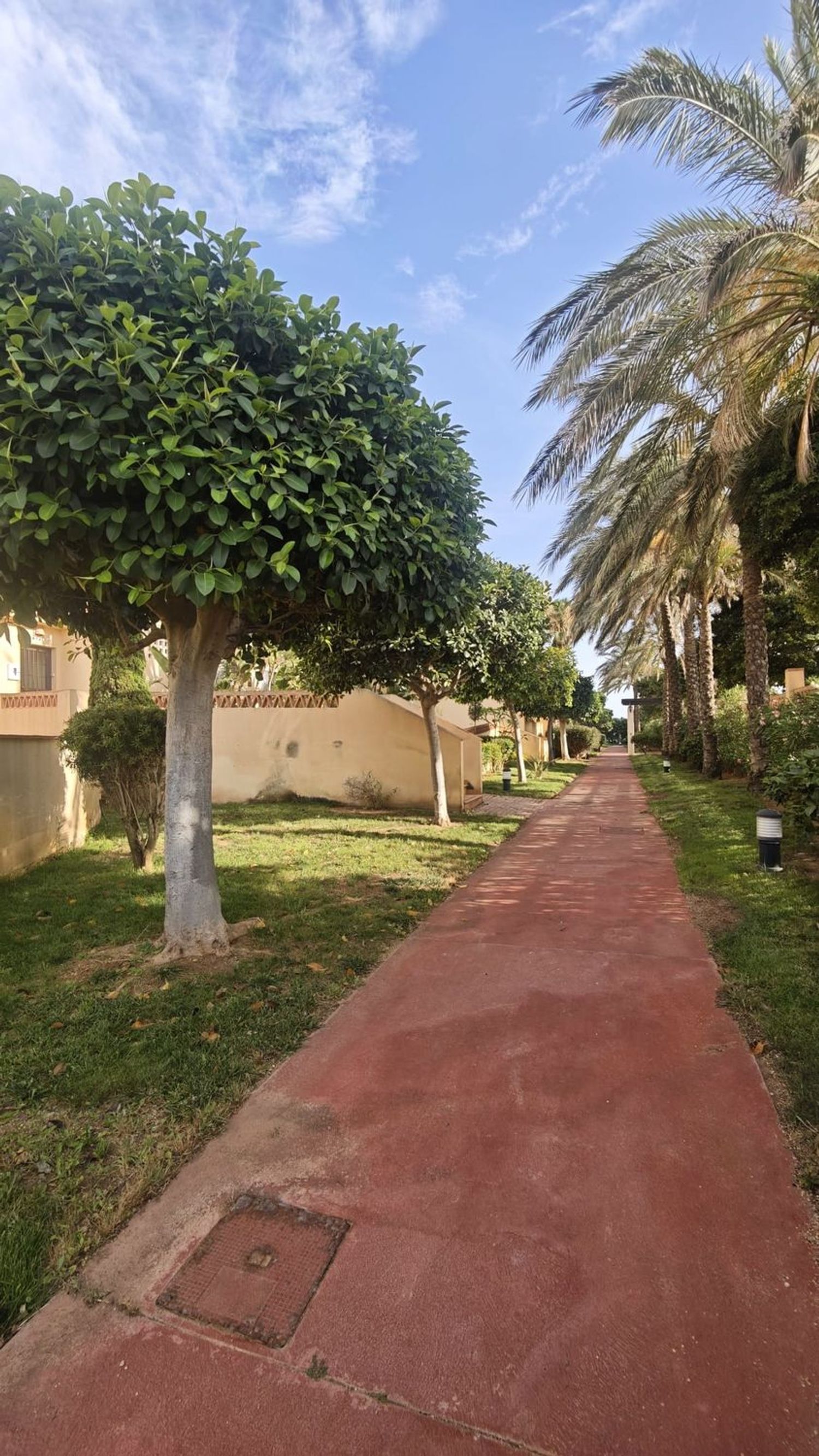 Piso en Avenida de Cerrillos, 85, El Sabinar - Urbanizaciones - Las Marinas - Foto 11