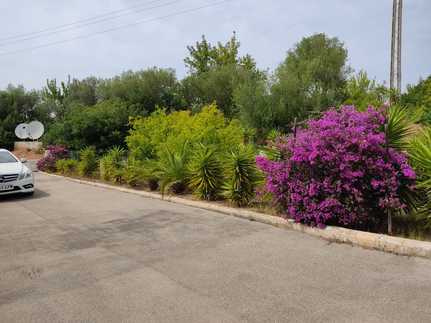 Casa rural en Carretera Palmanova, 27, Calvià pueblo, Calvià pueblo - Foto 15