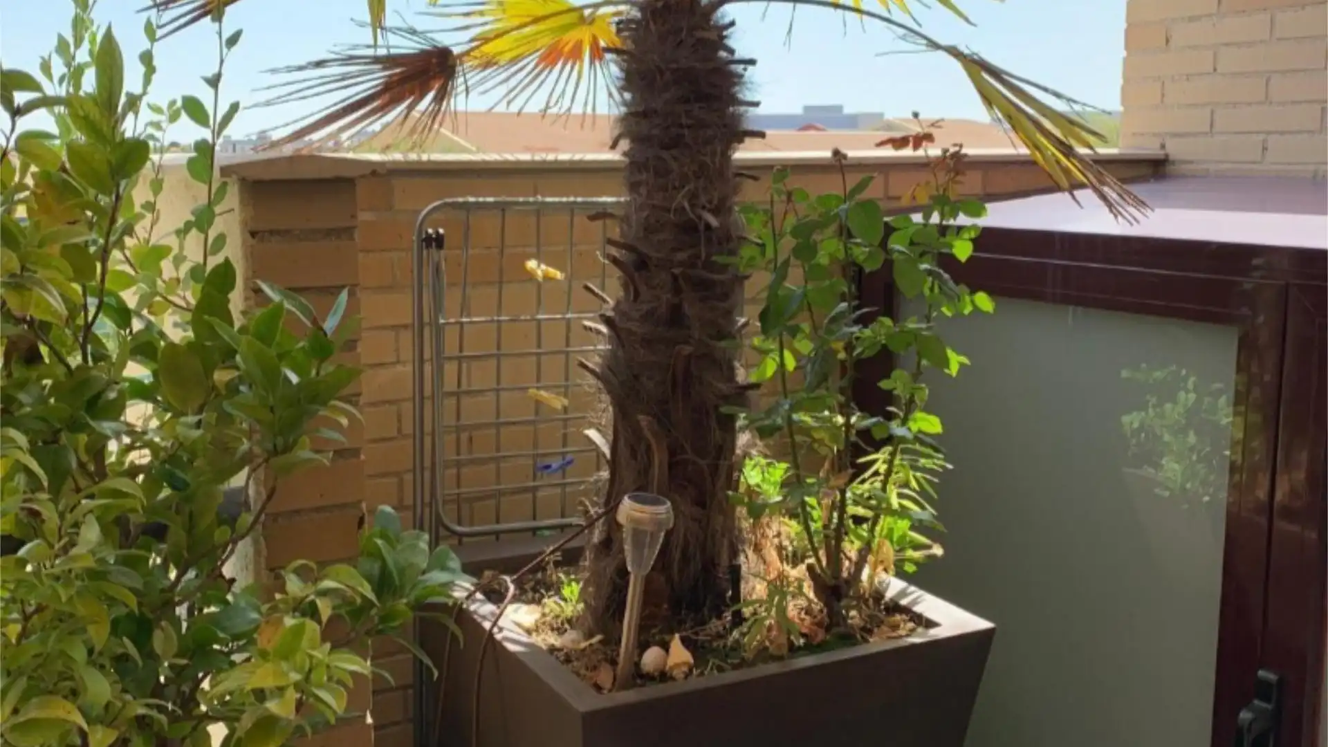 Ático en  Calle Francisco Tomás y Valiente 5 - Foto 13