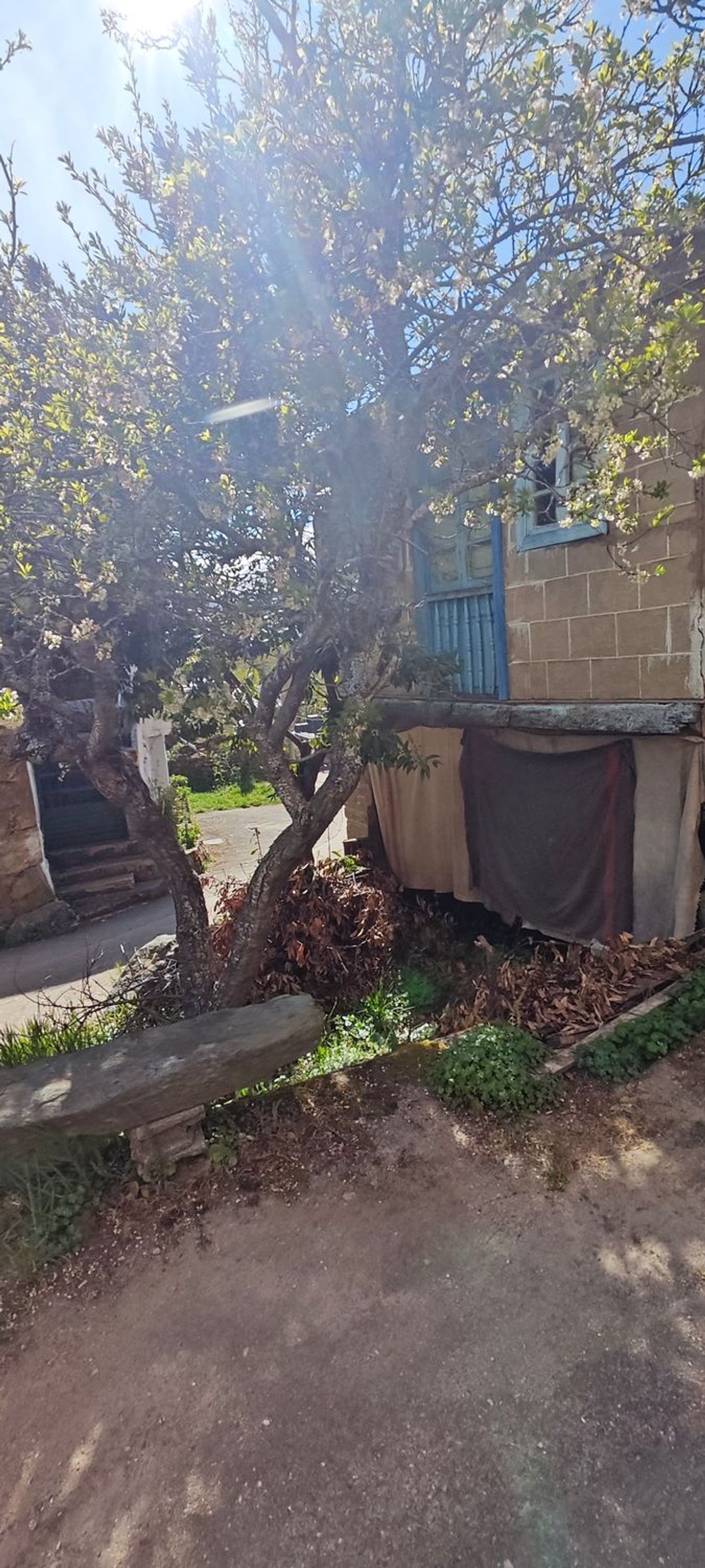 Casa de pueblo en Calle Barrio Abajo, 50 - Foto 19