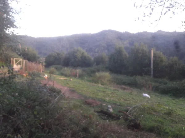 Casa de pueblo en Bospolin, 9 - Foto 7