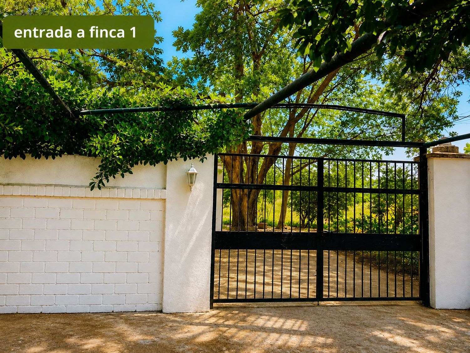 Casa o chalet independiente en M-404, 134 - Foto 3