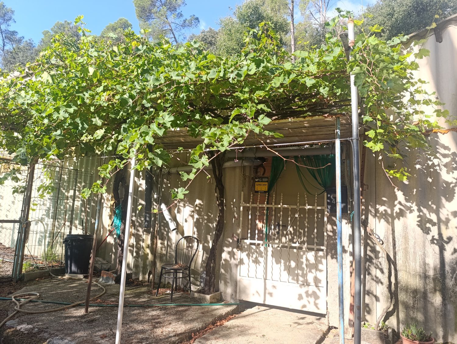 Local en Camino de Can Sardà, 46, Montflorit-Plana del Castell, Montflorit-Plana del Castell - Foto 12