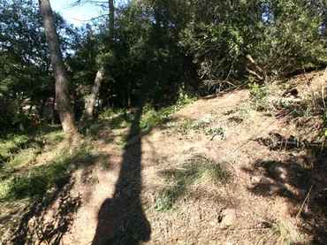 Terreno Residencial en  Carrer de la Carena Llarga 7 - Foto 5