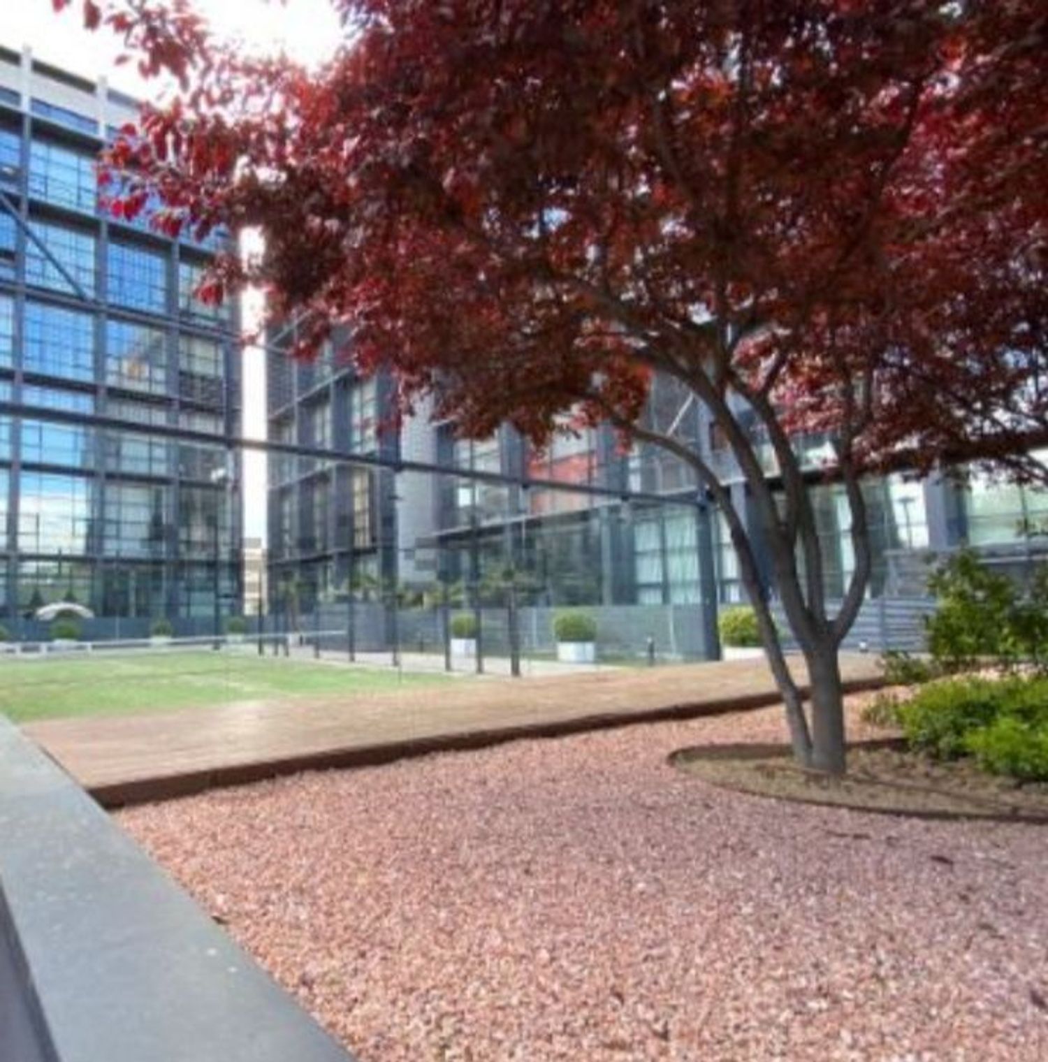 Estudio en avenida del Cerro del Águila, 2 - Foto 10