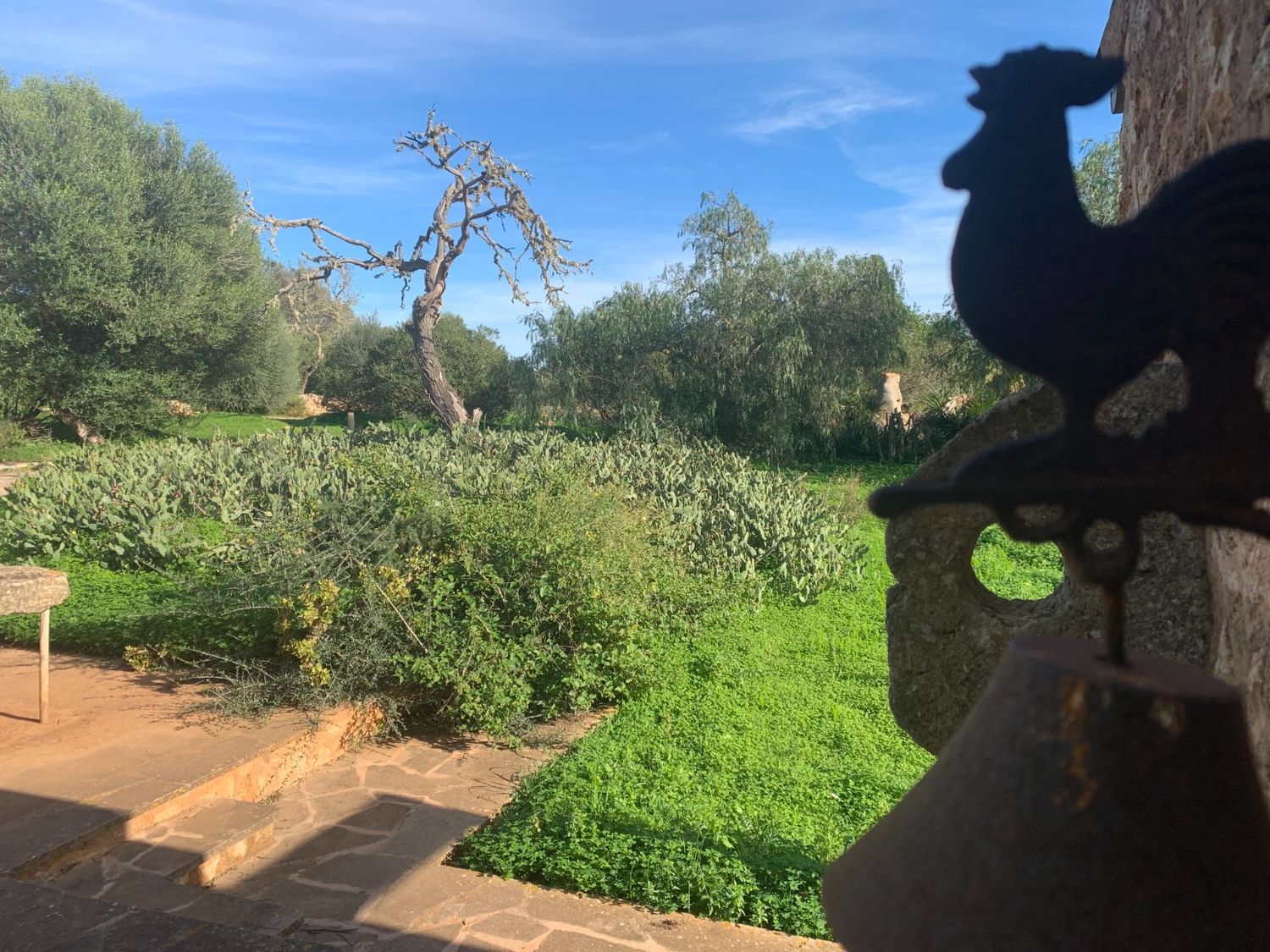 Finca rústica en Diseminado Poligono 4, 64, Es Llombards, Es Llombards - Foto 7