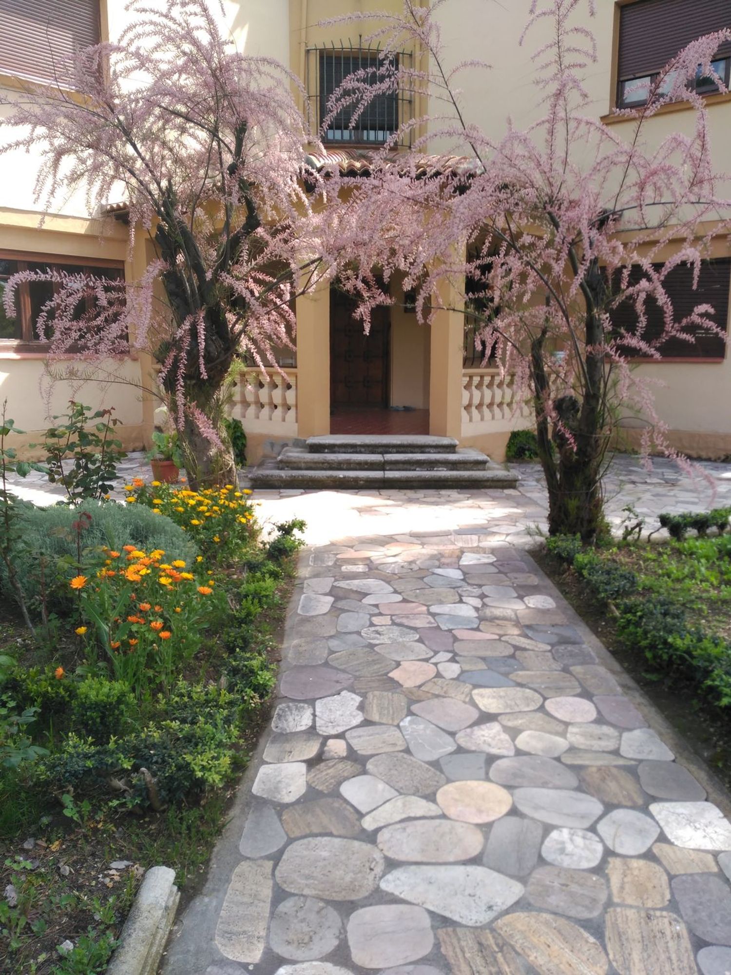 Casa o chalet independiente en Calle Estio, 7, Arcas Reales - Pinar del Jalón, Arcas Reales - Pinar del Jalón - Foto 3