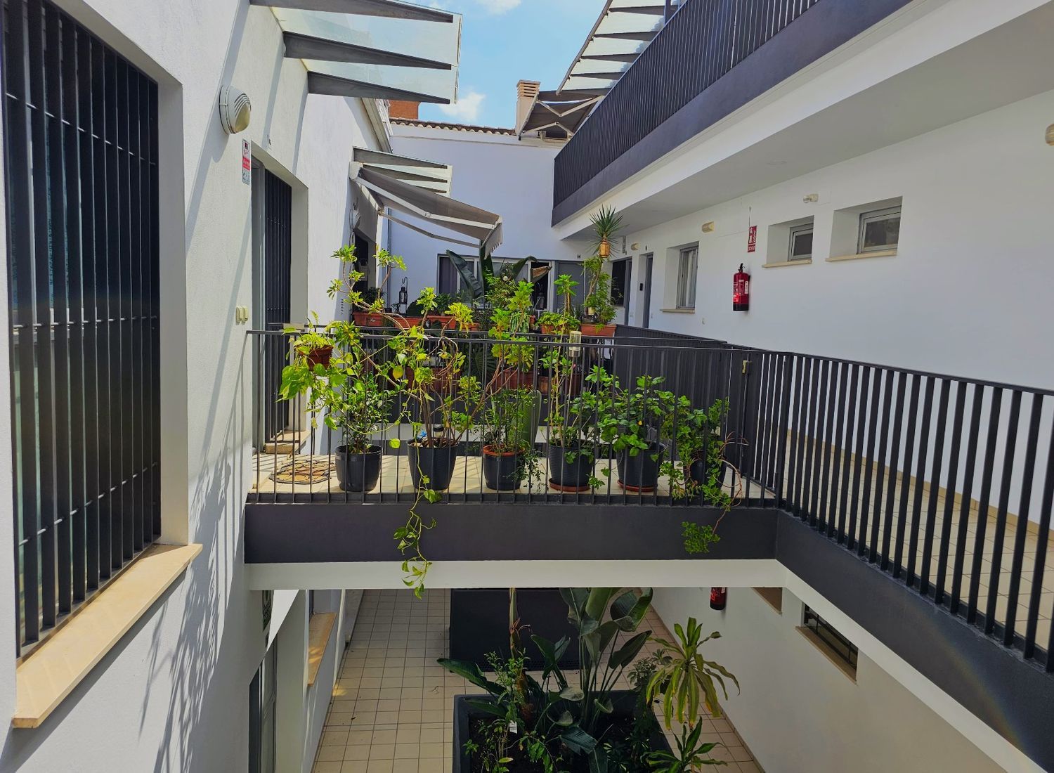 Estudio en calle Tiro, 18 - Foto 5