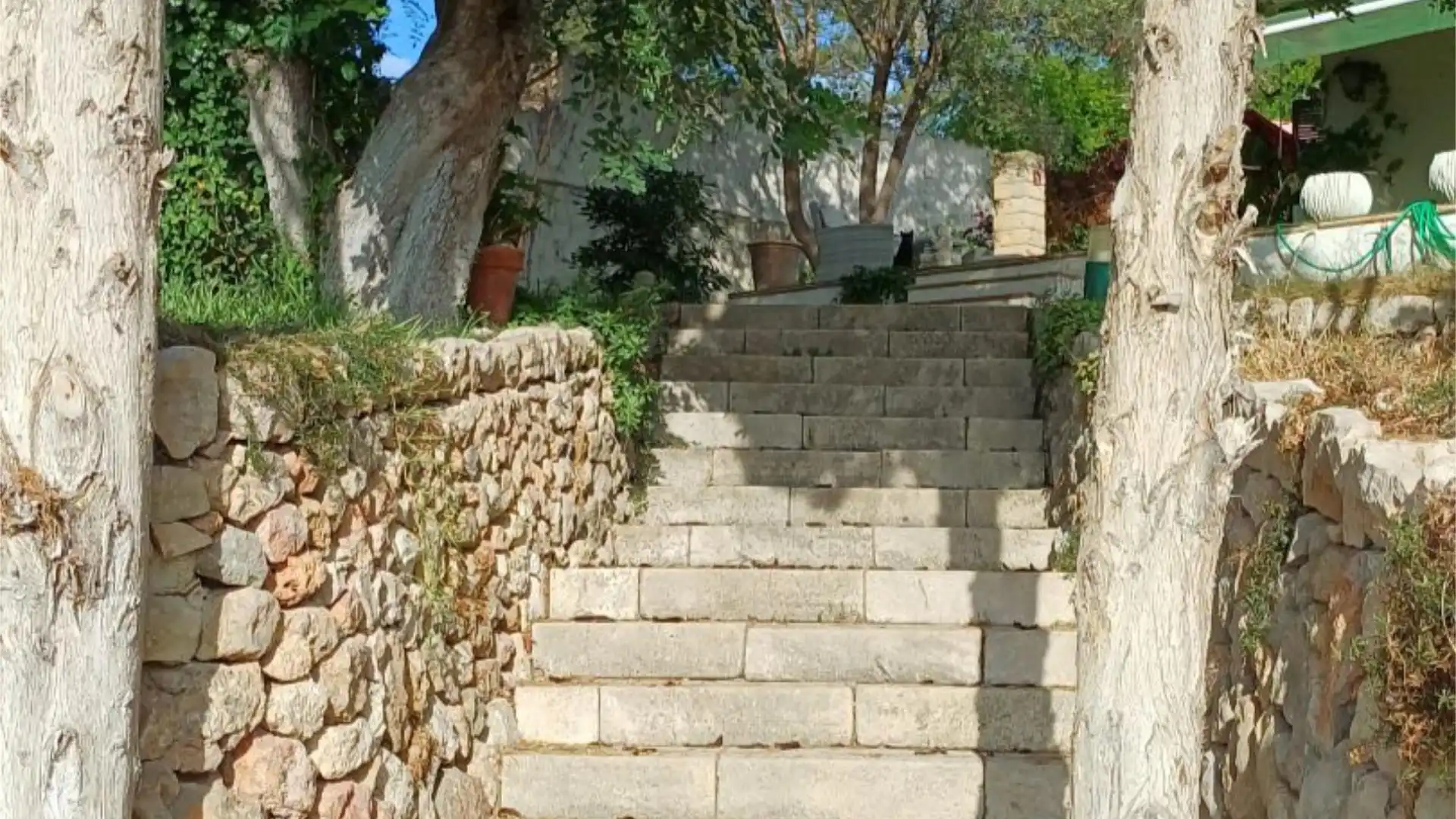 Finca rústica en  Camí Son Bauçanet 23 - Foto 5