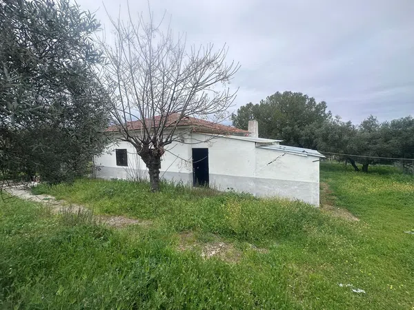 Finca rústica en Calle Pozoblanco s/n - Foto 23