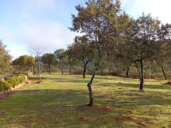 Finca rústica en 7wxh+j5, 7 - Foto 30