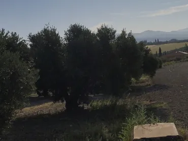 Finca rústica en  Carretera Córdoba - Málaga S-N - Foto 3