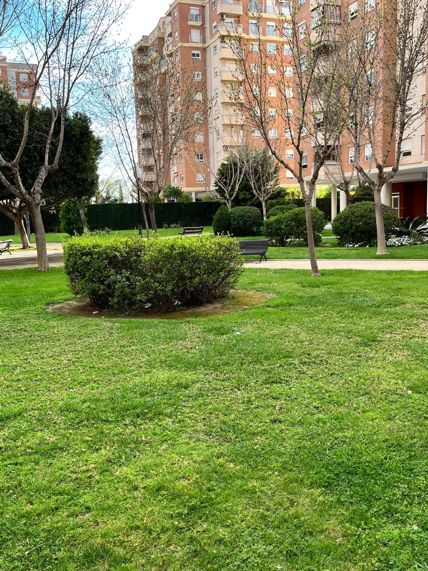 Piso en Calle d'Enric Valor, 1 a - Foto 3