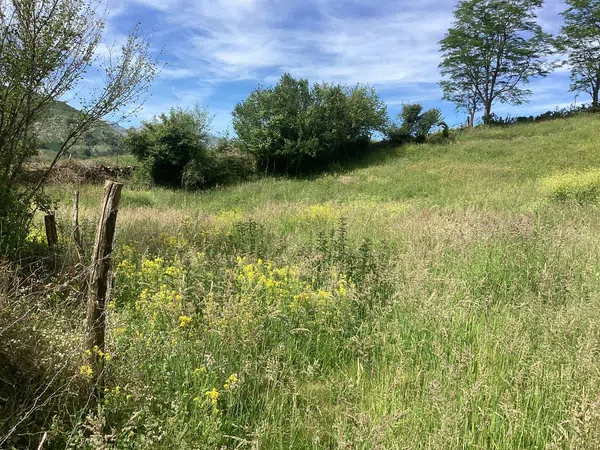 Casa rural en Avenida Alisas, 3 Km - Foto 13