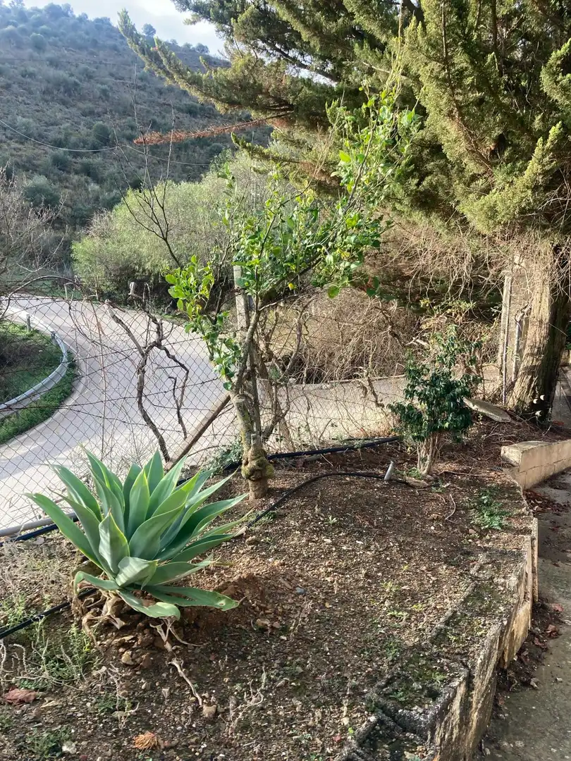 Finca rústica en Málaga Capital - Foto 18