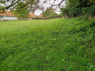 Terreno Residencial en  Lamadrid-Radillo 1 - Foto 4