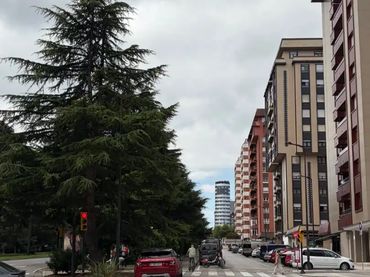 Piso en  Avenida de la Constitución 96 - Foto 1