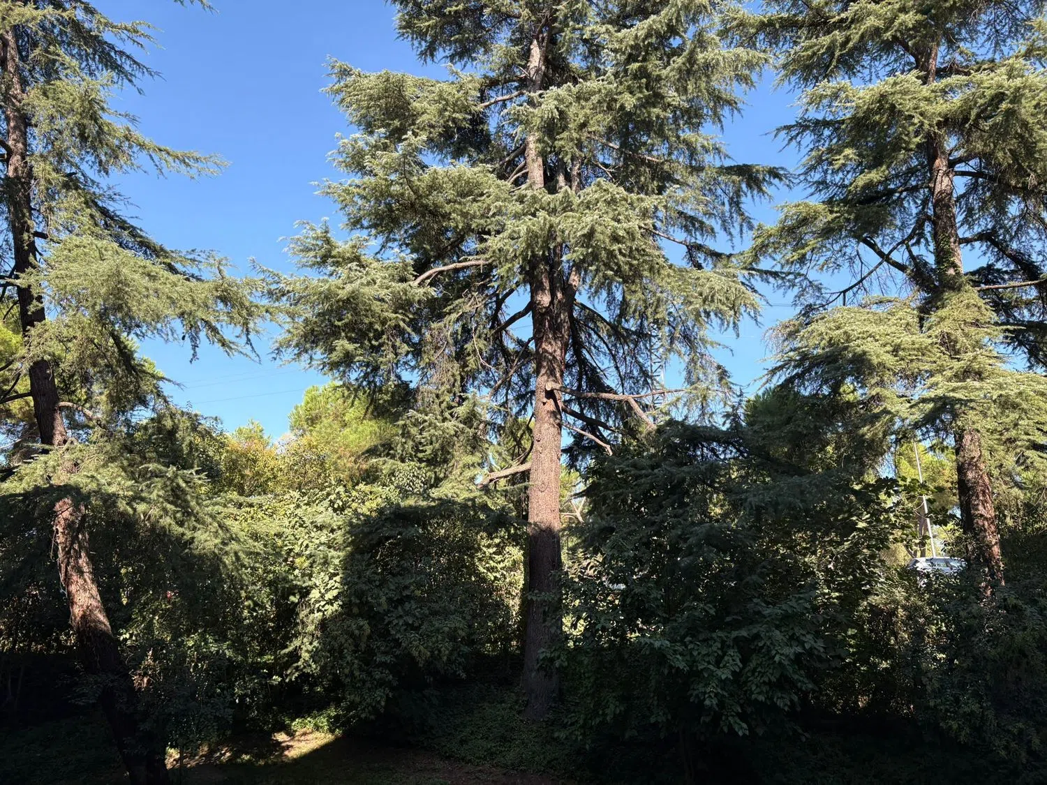 Piso en calle de Villagarcía, 27 - Foto 1