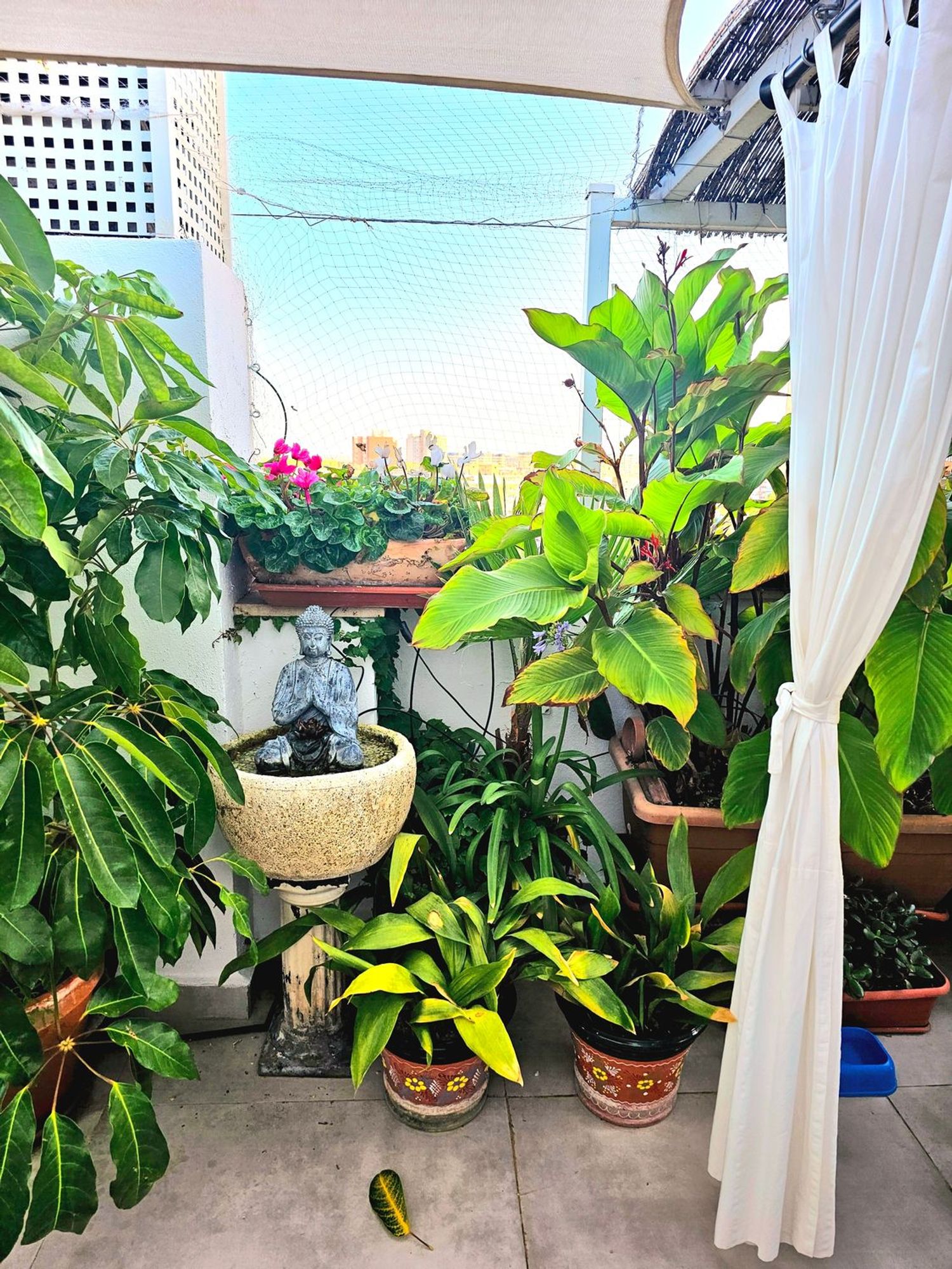 Ático en calle Alcala, 2 - Foto 7