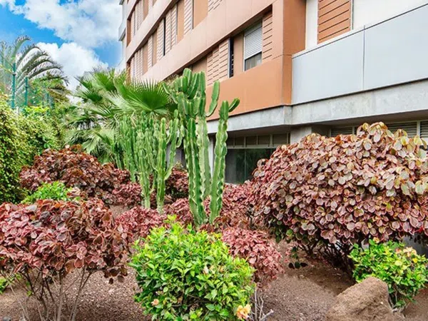 Piso en Calle Camelia, 19, Siete Palmas - Foto 4