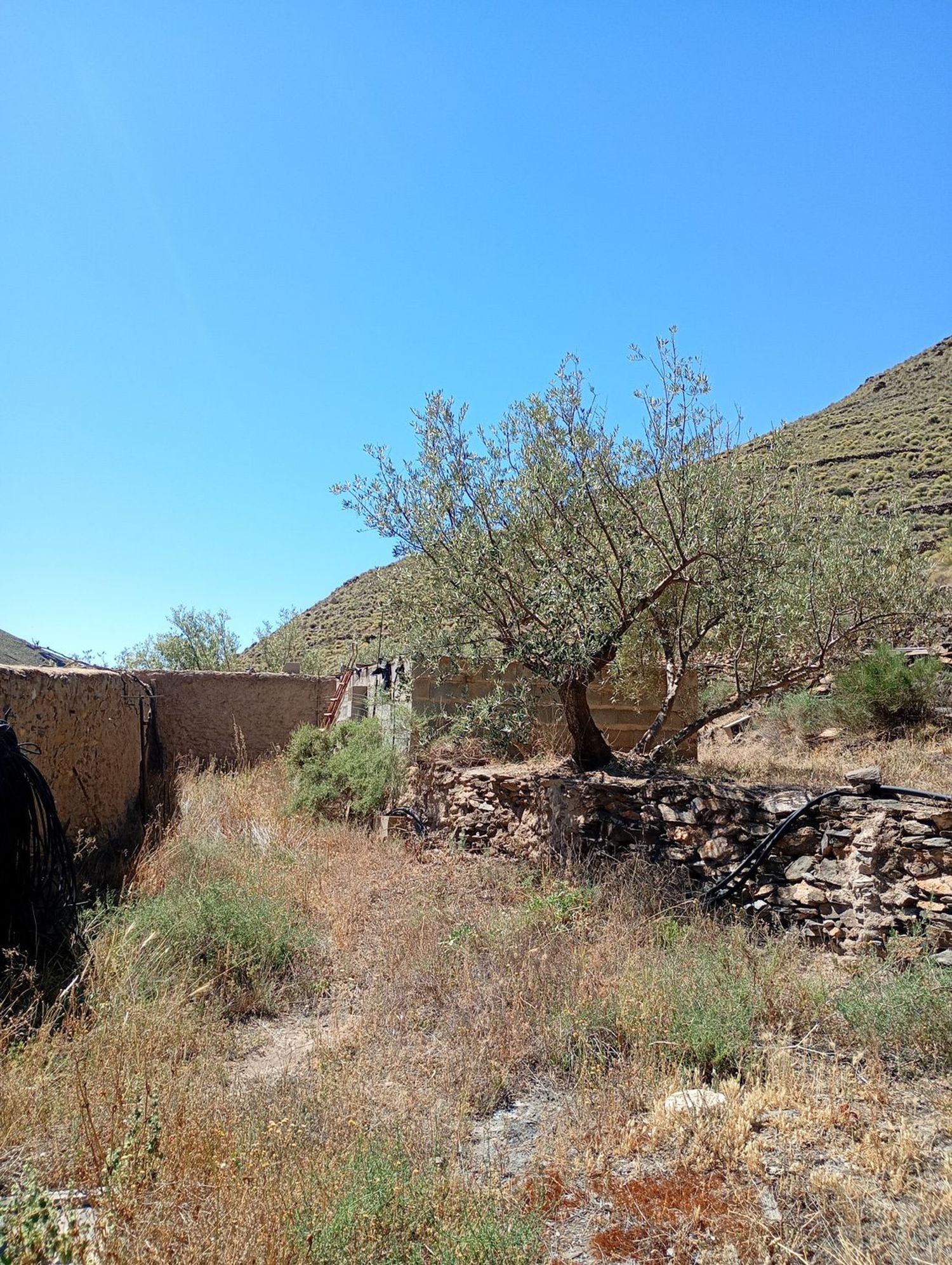 Cortijo en barranco s/n - Foto 14