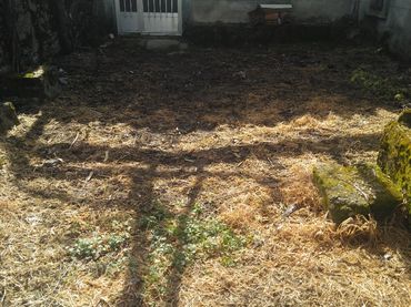 Planta baja en  Calle las Eras 24 - Foto 11